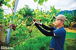 Hòa Bắc vào mùa du lịch