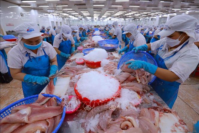 Châu Á là thị trường xuất khẩu lớn nhất của các mặt hàng nông lâm thủy sản của Việt Nam với thị phần chiếm 42%. Ảnh minh họa: Vũ Sinh/TTXVN