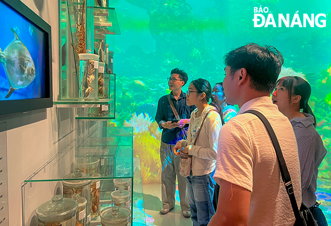 Visitors to the museum will approach a photo wall with 76 photos, each representing a theme displayed inside the museum, and watch a 3-minute short film introducing the natural beauty of Da Nang.