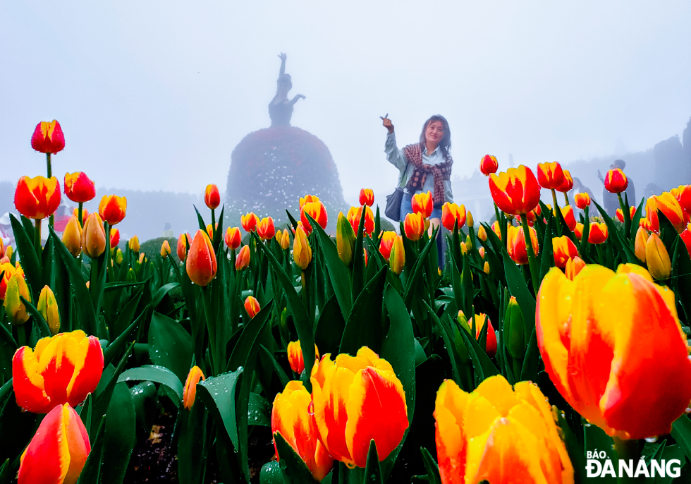 Check-in with the tulip garden.