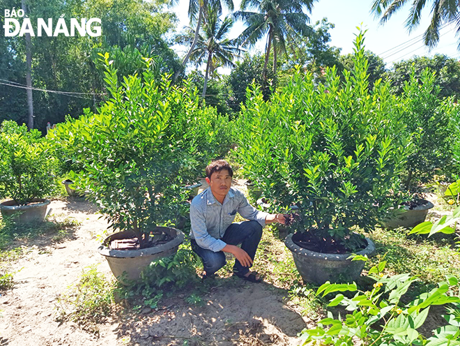 Da Nang lecturer produces bio-organic fertilizer from poultry feathers ...